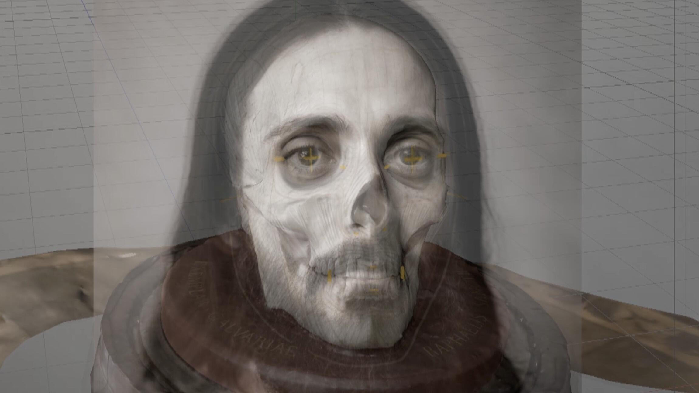 L'histoire au scalpel Raphaël